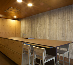 Dekton Kadum Soild Surface Countertop
